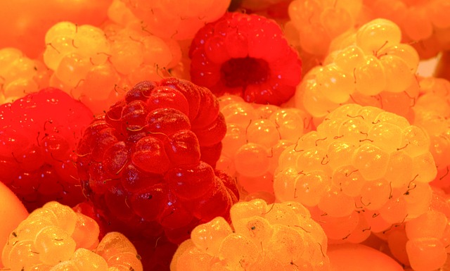 出体育